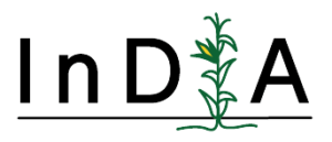 logo-india-11-1-300x129